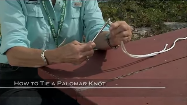Basic Gear Assembly video/