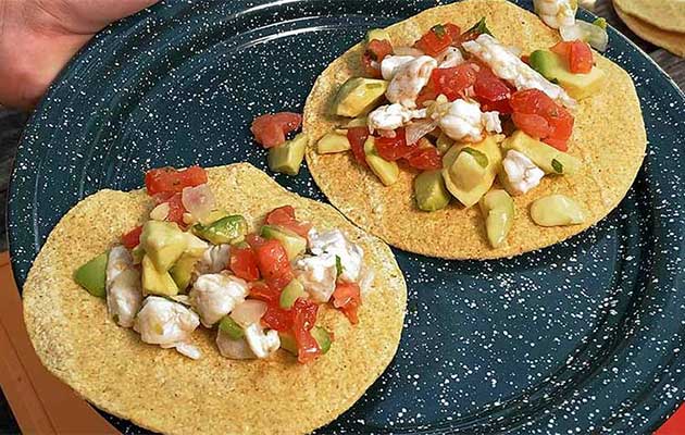 Wild Game Recipes: Gulf Shrimp Ceviche