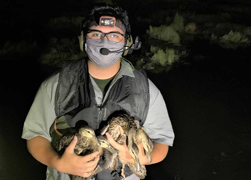 Intern with birds.