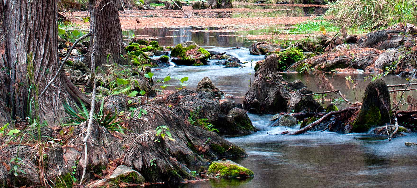 Honey Creek