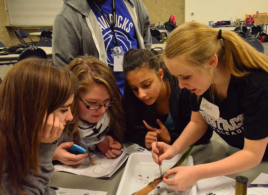 Wildlife & Community Science